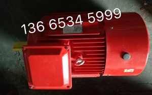 電機廠（chǎng）家